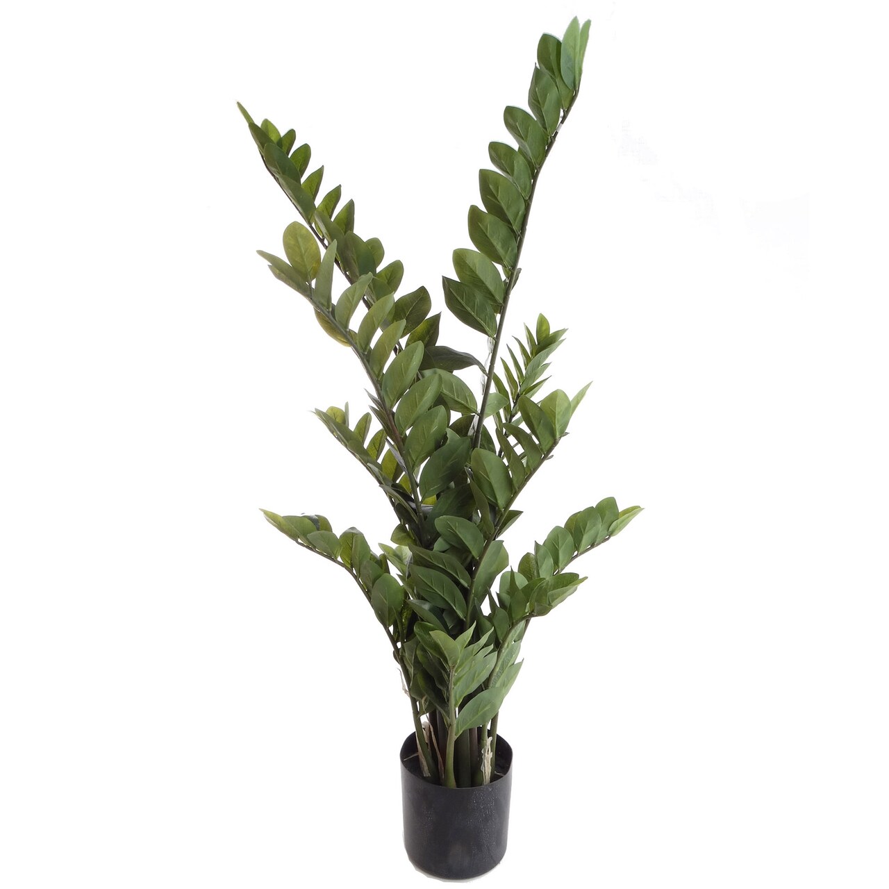 43&#x22; Zamifolia Bush in Black Pot with 220 Silk Leaves by Floral Home&#xAE;